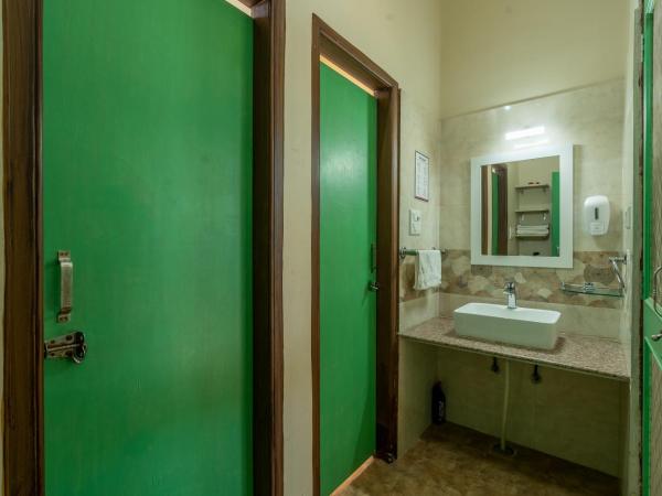 GiriSadan Organic Farm Retreat & Botanical Forest : photo 6 de la chambre chambre supérieure avec 2 lits queen-size