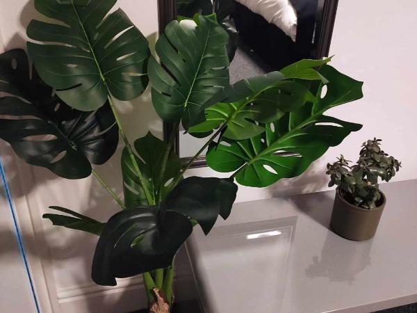 Q - Accomodation : photo 1 de la chambre chambre lit king-size premier