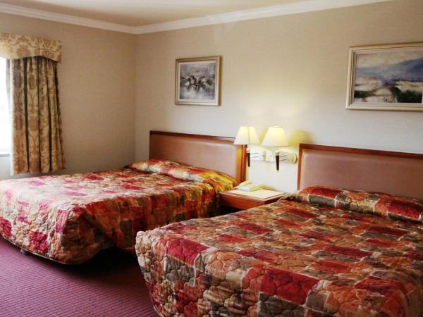 Metro Plaza Hotel : photo 1 de la chambre chambre standard avec 2 lits queen-size
