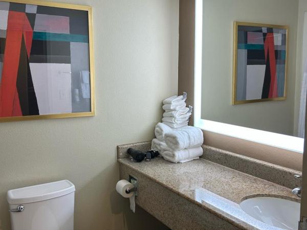 Comfort Suites Columbia at Harbison : photo 8 de la chambre suite lit king-size – non-fumeurs