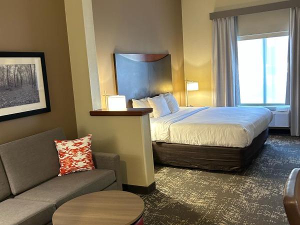 Comfort Suites Columbia at Harbison : photo 6 de la chambre suite lit king-size – non-fumeurs