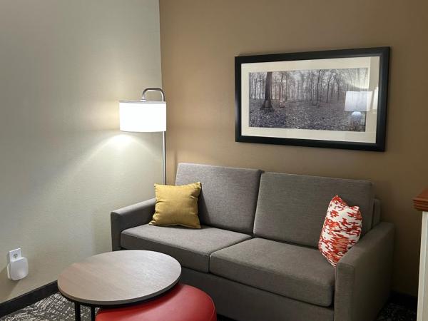 Comfort Suites Columbia at Harbison : photo 5 de la chambre suite lit king-size – non-fumeurs