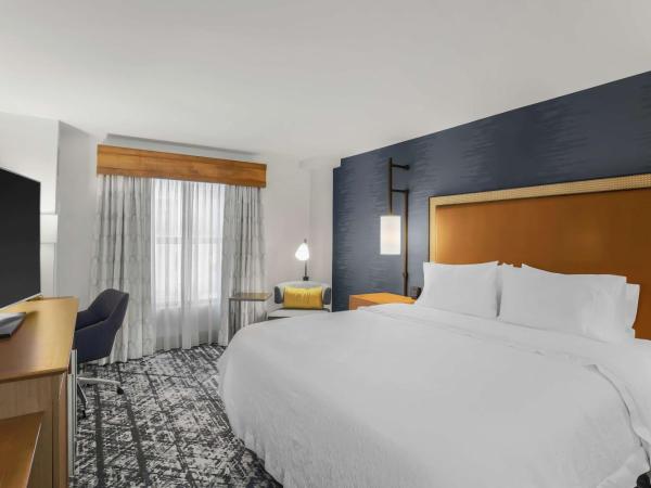 Hampton Inn & Suites Austin-Downtown/Convention Center : photo 3 de la chambre chambre lit king-size - non-fumeurs