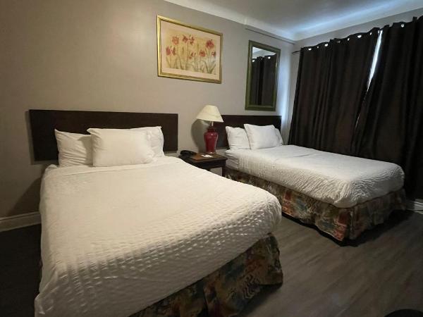 Travelodge by Wyndham London Ontario : photo 5 de la chambre chambre 2 lits queen-size - non-fumeurs