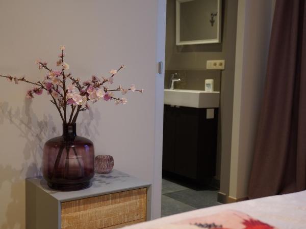 B&B SPA CITADELLE : photo 7 de la chambre chambre double