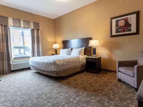 Best Western Plus South Edmonton Inn & Suites : photo 2 de la chambre chambre lit king-size non-fumeurs - accessible aux personnes à mobilité réduite