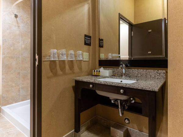 Best Western Plus South Edmonton Inn & Suites : photo 5 de la chambre chambre lit king-size non-fumeurs - accessible aux personnes à mobilité réduite