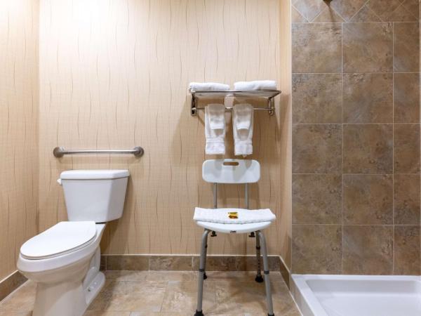 Best Western Plus South Edmonton Inn & Suites : photo 6 de la chambre chambre lit king-size non-fumeurs - accessible aux personnes à mobilité réduite