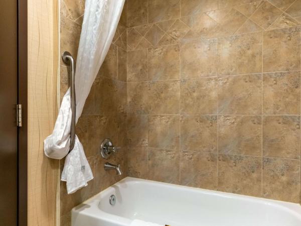 Best Western Plus South Edmonton Inn & Suites : photo 6 de la chambre chambre 2 lits queen-size - non-fumeurs