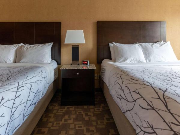 Best Western Plus South Edmonton Inn & Suites : photo 4 de la chambre chambre 2 lits queen-size - non-fumeurs