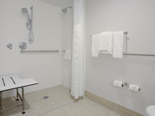 Holiday Inn Express Nashville Airport, an IHG Hotel : photo 3 de la chambre standard king room with roll in shower - mobility accessible