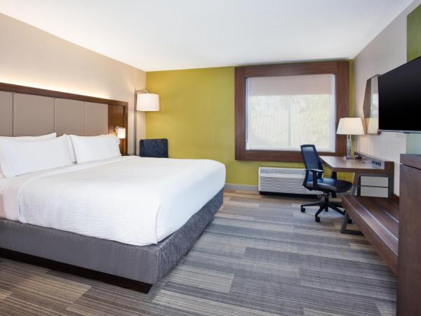 Holiday Inn Express Nashville Airport, an IHG Hotel : photo 1 de la chambre chambre lit king-size standard