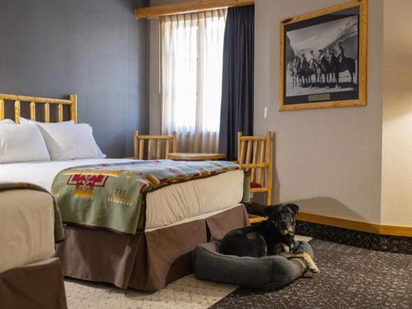 Brewster Mountain Lodge : photo 3 de la chambre chambre deluxe avec 2 lits queen-size