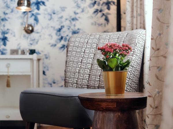 The Black Lion Pub & Boutique Guesthouse : photo 6 de la chambre grand hébergement double