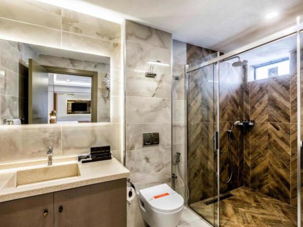 Ayramin Deluxe Hotel Taksim : photo 6 de la chambre chambre familiale décloisonnée