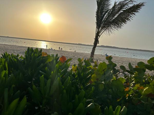 Couple room with attached bathroom : photo 3 de la chambre chambre double Économique