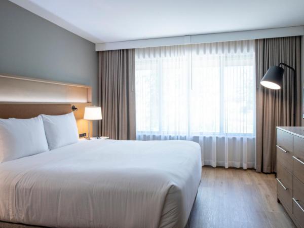 Radisson Hotel Colorado Springs Airport : photo 1 de la chambre suite 1 chambre lit king-size avec canapé-lit - non-fumeurs