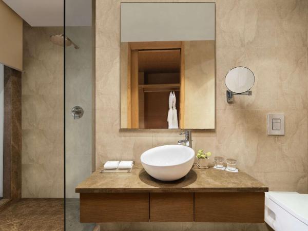 Radisson Blu Hotel New Delhi Dwarka : photo 1 de la chambre superior double or twin room with 20% discount on food & soft beverage