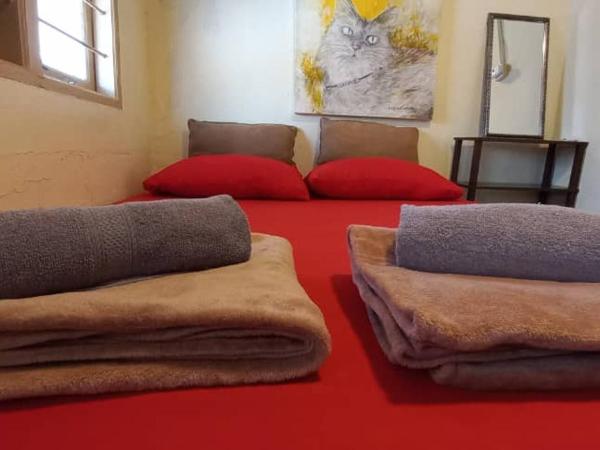 QuiikCat : photo 3 de la chambre chambre double avec salle de bains commune