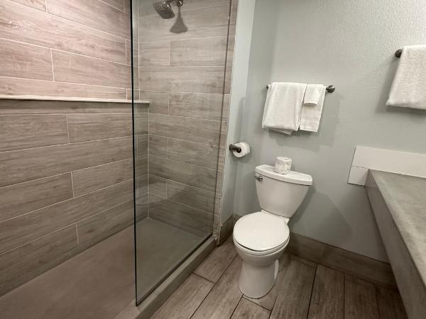 Tahitian Inn Boutique Hotel Tampa : photo 6 de la chambre chambre avec 2 grands lits queen-size