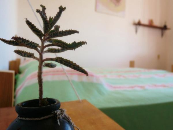 Casa EL Mundo : photo 3 de la chambre chambre lit king-size