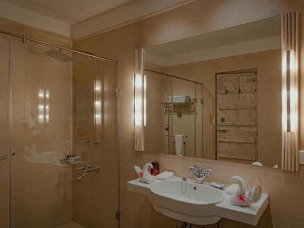 The Ajit Bhawan - A Palace Resort : photo 8 de la chambre deluxe double room- enjoy buffet breakfast, wifi,welcome drink upon arrival, early check in & late check out – subject to availability