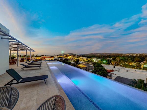 Cardinal Living San Jose del Cabo D-301 : photo 3 de la chambre appartement 1 chambre