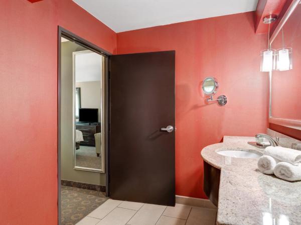 Crowne Plaza Houston Galleria Area, an IHG Hotel : photo 10 de la chambre chambre lit king-size standard