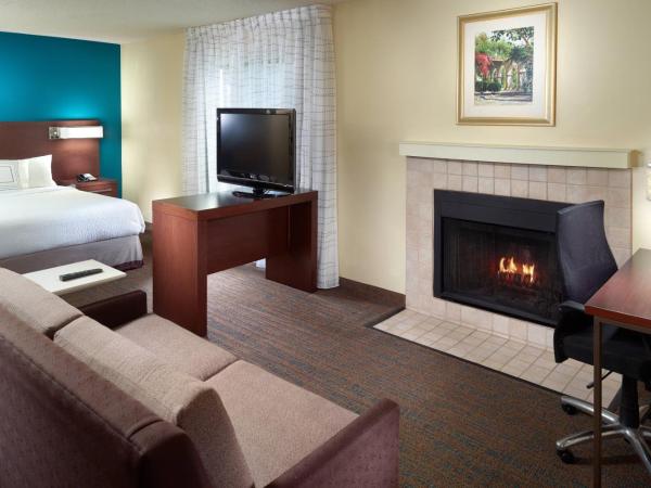 Residence Inn by Marriott Nashville Airport : photo 3 de la chambre studio lit queen-size avec canapé-lit