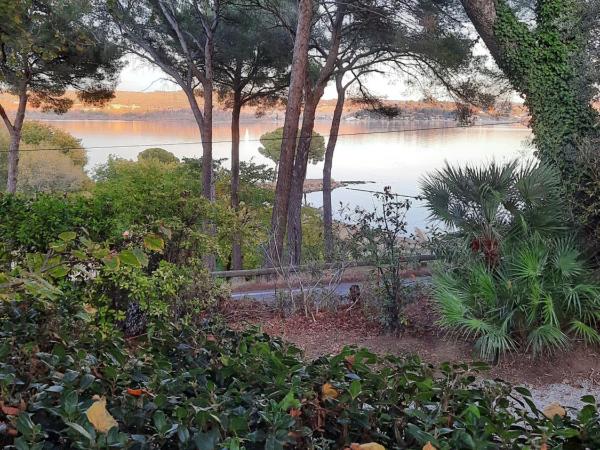 La Palmeraie : photo 2 de la chambre chambre double ou lits jumeaux deluxe – vue sur jardin