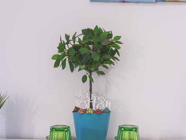 Szivárvány Panzió : photo 8 de la chambre chambre double ou lits jumeaux