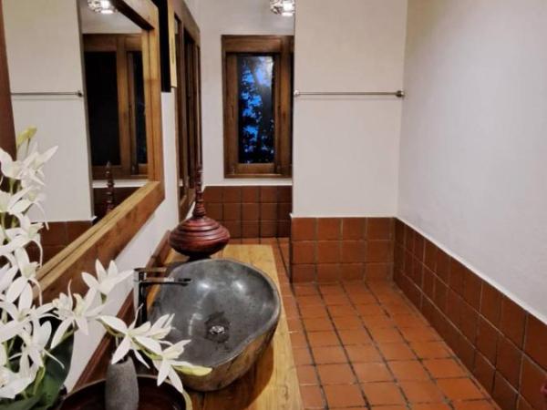 Viking Nature Resort : photo 5 de la chambre grande chambre double de luxe avec climatisation