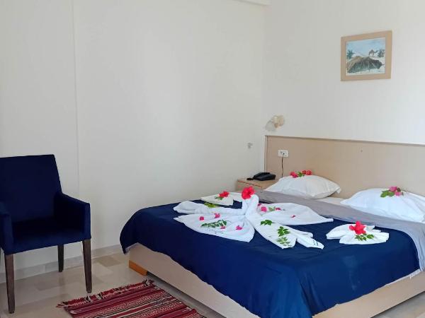 Hôtel Romane : photo 1 de la chambre chambre simple standard