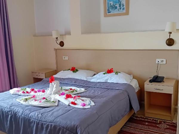 Hôtel Romane : photo 1 de la chambre chambre double