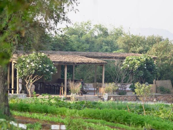 Anopura Jaipur : photo 1 de la chambre suite - vue sur jardin
