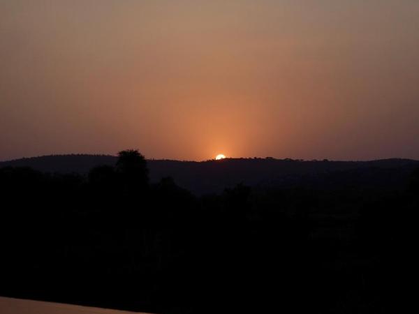 Anopura Jaipur : photo 3 de la chambre suite - vue sur jardin