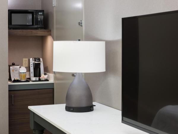 Hilton Garden Inn Sacramento/South Natomas : photo 5 de la chambre chambre lit king-size avec canapé-lit - non-fumeurs