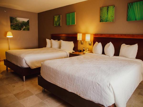 Hilton Garden Inn Veracruz Boca del Rio : photo 5 de la chambre chambre avec 2 lits queen-size - vue sur ville
