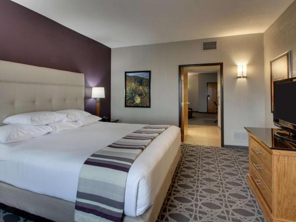 Drury Inn & Suites Albuquerque North : photo 7 de la chambre suite lit king-size avec canapé-lit
