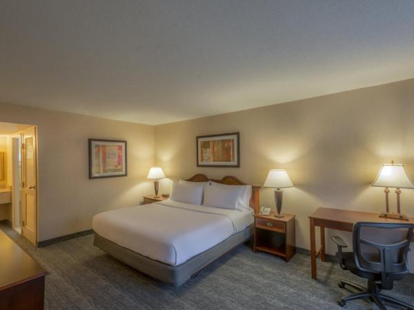 Holiday Inn Arlington at Ballston, an IHG Hotel : photo 5 de la chambre suite lit king-size
