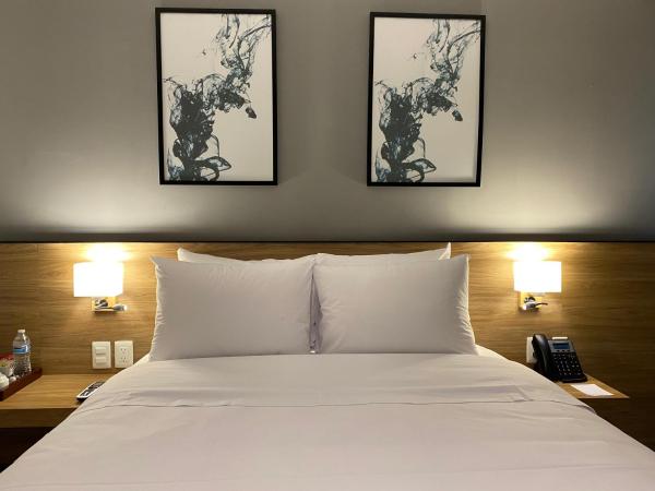 B's Suites Mérida : photo 10 de la chambre chambre standard lit queen-size