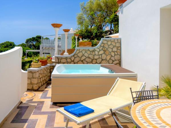 Hotel La Floridiana : photo 1 de la chambre chambre double deluxe avec terrasse et bain à remous extérieur - vue partielle sur mer