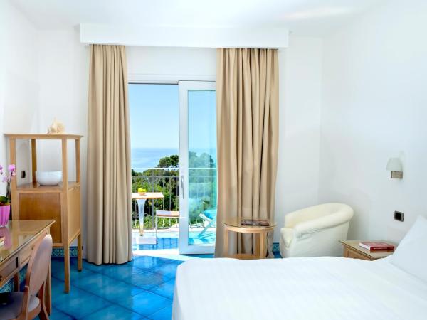 Hotel La Floridiana : photo 4 de la chambre chambre deluxe dernier Étage avec balcon et vue sur mer