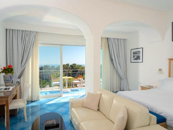 Hotel La Floridiana : photo 1 de la chambre hébergement supérieur deluxe avec balcon et vue sur mer - dernier Étage