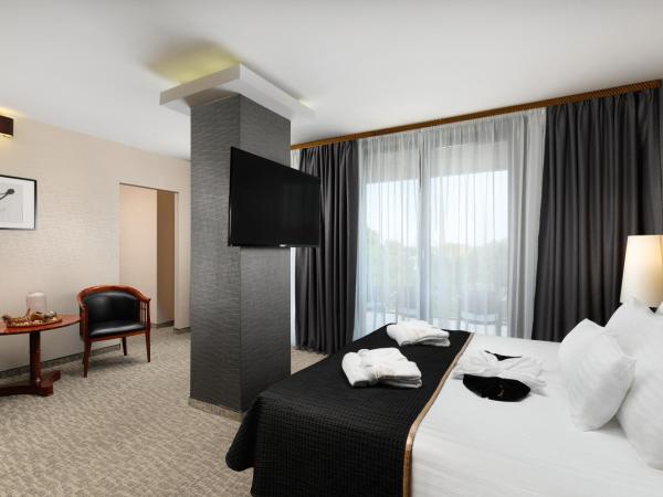 Hotel Divinus : photo 3 de la chambre suite royale