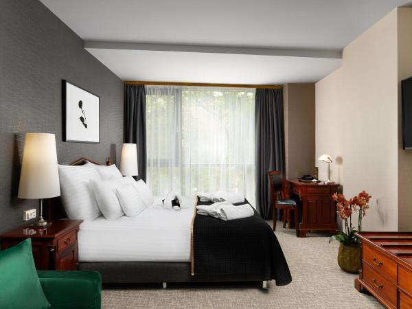 Hotel Divinus : photo 3 de la chambre chambre supérieure plus