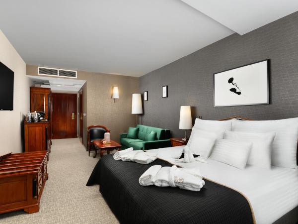 Hotel Divinus : photo 2 de la chambre chambre supérieure plus