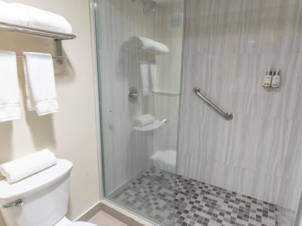 Holiday Inn Express Guadalajara Aeropuerto, an IHG Hotel : photo 2 de la chambre chambre standard