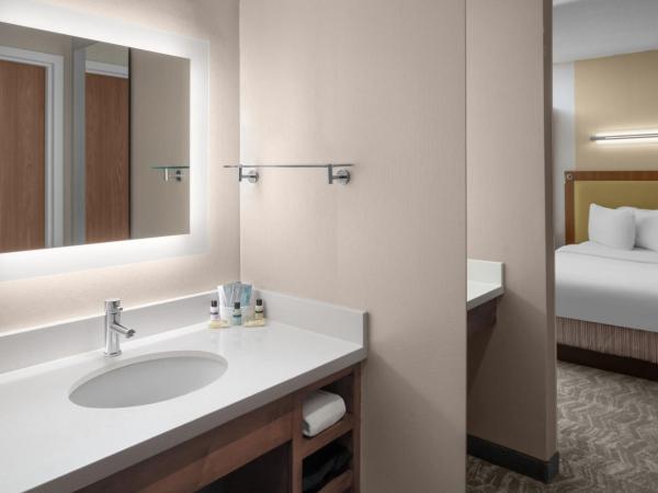 SpringHill Suites Pittsburgh Southside Works : photo 3 de la chambre studio lit king-size avec canapé-lit