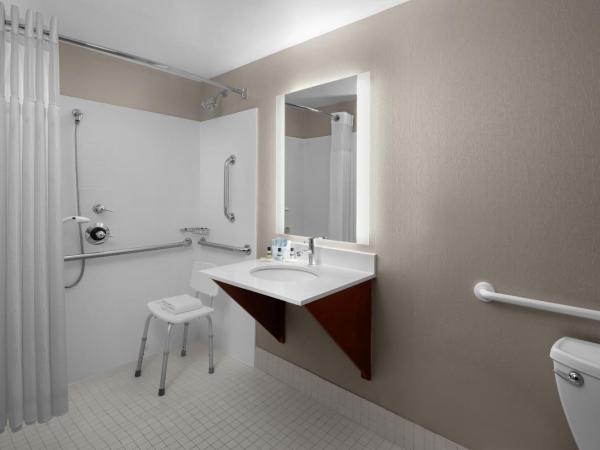 SpringHill Suites Pittsburgh Southside Works : photo 8 de la chambre studio lit queen-size avec canapé-lit